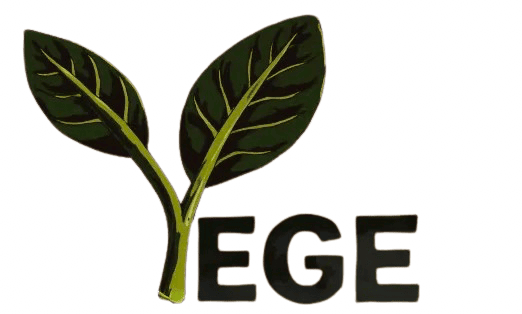 Yege Learning